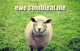 I Feel So Sheepish Sheep Puns Funny Animal Memes Sheep