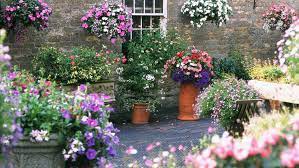 I have to admit, when the craze for succulents first started a few years ago, i couldn't. Container Gardening Ideas 19 Planting Designs For Year Round Colour And Scent Gardeningetc