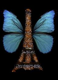 Paris Butterfly By Zoltan Eiffel Tower Butterfly Beautiful Butterflies