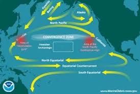 The Great Pacific Garbage Patch Lesson Teachengineering