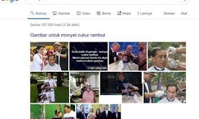 Sambil tetap dipayungi, jokowi kembali ke kantor desa. Tidak Sekedar Monyet Pake Jas Hujan Monyet Cukur Rambut Juga Pernah Mengarah Ke Foto Pak Jokowi Sutriman Sutriman