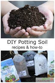Diy Potting Soil 6 Homemade Potting Mix Recipes For The Garden Potting Soil Diy Potting Soil Organic Gardening Soil