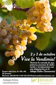Pin En Todo Vinetur