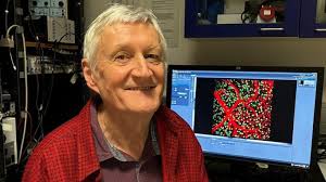 Professor David Attwell appointed to spearhead the BHF-UK