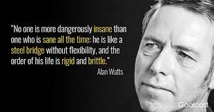 I don't know what i'd do without them. Alan Watts Quote Sanity And Insanity Goalcast