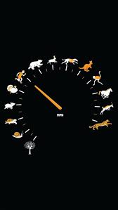 Download funny wallpapers & backgrounds and enjoy it on your iphone, ipad and ipod touch. Funny Gauge Animals Speed Iphone 5 Wallpaper Hd Free Download Iphonewalls