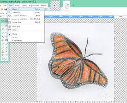 How To Make Clip Art From A Drawing, Photo Or Picture With Paint.net |  Auntie Sceb