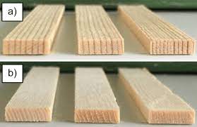 Tree with moss on roots in a green forest. A Old And B New Spruce Wood With Standing Annual Growth Rings Download Scientific Diagram