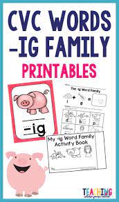 Cvc Ig Words Word Family Activities Phonics Instruction Teaching Phonics