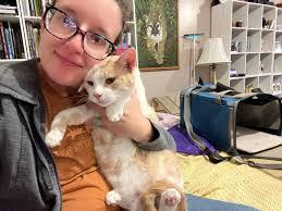 Tracy Slavik's Instagram, Twitter & Facebook