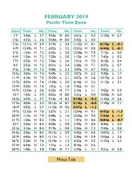 58 Particular High And Low Tides Chart