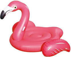 Schwimminsel Flamingo Ca 230 Cm Mifus De Schwimmende Insel Flamingo Flamingos