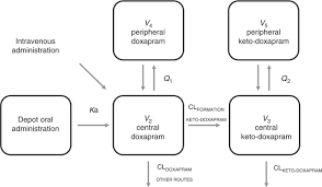 Doxapram enjeksiyonluk çözelti ekzotik hayvan türlerinde kullanılmak istendiğinde 1 mg / kg c.a dozunda uygulamaya başlanmalı hayvanın durumuna göre doz ayarlamasına gidilmelidir. The Bioavailability And Maturing Clearance Of Doxapram In Preterm Infants Pediatric Research