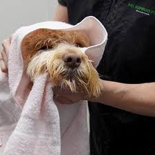 Maybe you would like to learn more about one of these? Pet Supplies Plus Nashua 25 Photos 13 Reviews Pet Stores 270 Amherst St Nashua Nh Phone Number Yelp