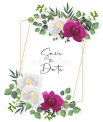 17,870 resultados productos fabricantes y proveedores. Vector Aislado Acuarela Blanca De Las Flores De La Orquidea Decoraciones Florales Delicadas Stock De Ilustracion Ilustracion De Elegante Pink 130390488