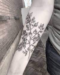 We did not find results for: Reposting Justinecho Thanks Dani For Letting Me Do Your First Tattooapprentice Tattoo Botanicaltattoo Tomato Toma Tattoos Alchemy Tattoo Vine Tattoo