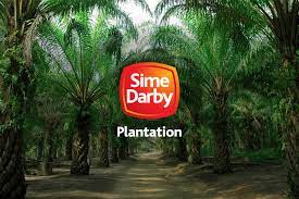 Not only we felt responsible to set up a dedicated supply chain of traceable and certified palmoil to europe, but also many food producers put more emphases on a supply chain security. Sime Darby Becomes Largest Producer Of Mspo Certified Palm Oil To Date The Edge Markets
