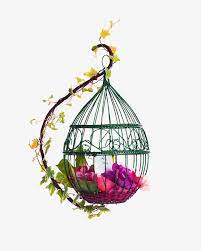 Red Fresh Bird Cage Flowers Decorative Patterns Flowers Flower Illustration Bird Clipart