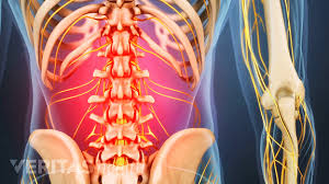 Low back & hip pain? Lower Right Back Pain Tissues Spinal Structures