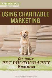 Pin On Pet Photography Business How To Increase Sales