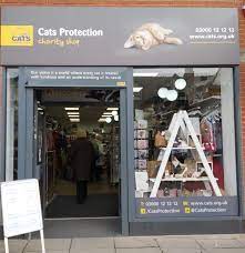 Cats Protection Cleveleys Shop Home Facebook