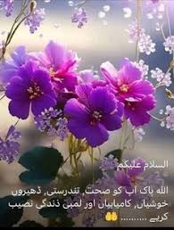 Image result for tbn:fWFGfe7mxNEQKM::www.feamman.com/wallpapers/Img-82755.jpg