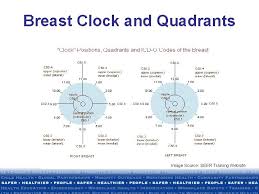 Learn about breast anatomy so you can better understand breast cancer, be aware of anything unusual, & have better dialogue with your doctor. National Program Of Cancer Registries Education And Training