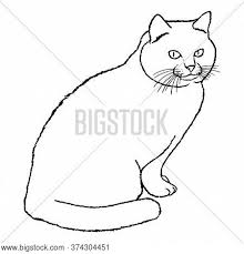 How to draw realistic animal eyes as part of drawing portraits. Drawing Cute Sitting Vector Photo Free Trial Bigstock