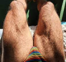 Muscular hairy legs