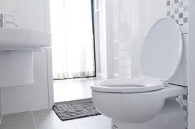 1 how long / learn english? How To Flush A Toilet Without Running Water