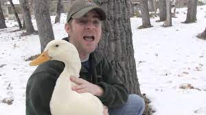 Peking Duck Youtube