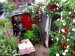 Pin By Sea Coast Exclusive Properties On Tuin Verschillende Soorten Roof Garden Roof Garden Design Amazing Garden Ideas