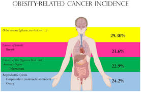 Leptin: A Heavyweight Player in Obesity-Related Cancers