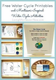 What are some examples of animals? 13 Vertebrae And Invertebrate Ideas Vertebrates And Invertebrates Montessori Science Montessori