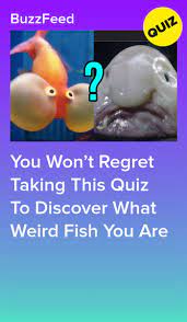 You Won T Regret Taking This Quiz To Discover What Weird Fish You Are Fun Personality Quizzes Quizzes For Fun Quizzes Funny