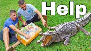 2023 Alligator Prices Are As Follows. - Leblanc'S Processing | Facebook