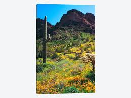 The usa has some of the world's most beautiful and diverse landscapes. American Southwest Landscape Organ Christopher Talbot Frank Icanvas