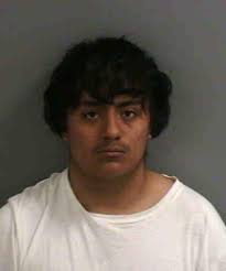 Deputies arrested a 17-year-old boy Thursday after he stole a car that was  left unattended with the engine running in a driveway in Immokalee. Javier  Hernandez was arrested after leading deputies on