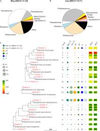 We specialize in new construction commercial roofing solutions. Frontiers Shifts Between And Among Populations Of Wheat Rhizosphere Pseudomonas Streptomyces And Phyllobacterium Suggest Consistent Phosphate Mobilization At Different Wheat Growth Stages Under Abiotic Stress Microbiology