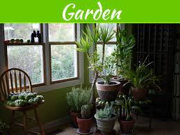 If i have geraniums, pepper plants, cordolite, rosemary and lavender,. 5 Ways To Keep Your Plants Alive Through The Winter My Decorative