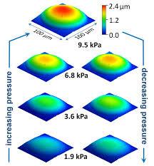 AFM images of a TNR membrane acquired whilst applying constant pressure... 