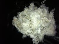 Ms Kamal Industries in Ludhiana