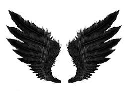 Black Wings Png Image In 2020 Wings Png Black Wings Swan Wings