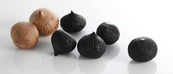 Image of garlic adalah