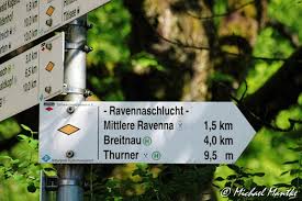 Rundwanderung durch das löffeltal in das höllental und durch die ravennaschlucht zurück nach hinterzarten. Ravennaschlucht Schwarzwald Pur Erkunde Die Welt