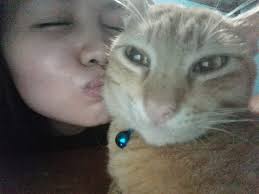 I love all animals specially cats!! They definitely have a mind of their  own!!