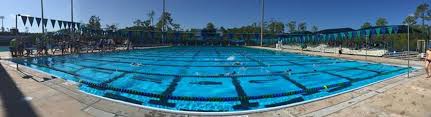 An enhanced business centre is also available with news and travel updates. Gulf Coast Swim Team Fort Myers Fl Alignable