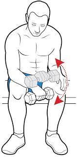 See full list on wikihow.com 6 Keys To Wider And Thicker Arms Breaking Muscle