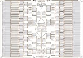 10 Generation Double Chart 120 Gsm Family History