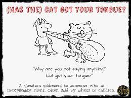 Hasthecatgotyourtongue — did a cat get your tongue ? Cat Cat Got Your Tongue Meaning And Sentence